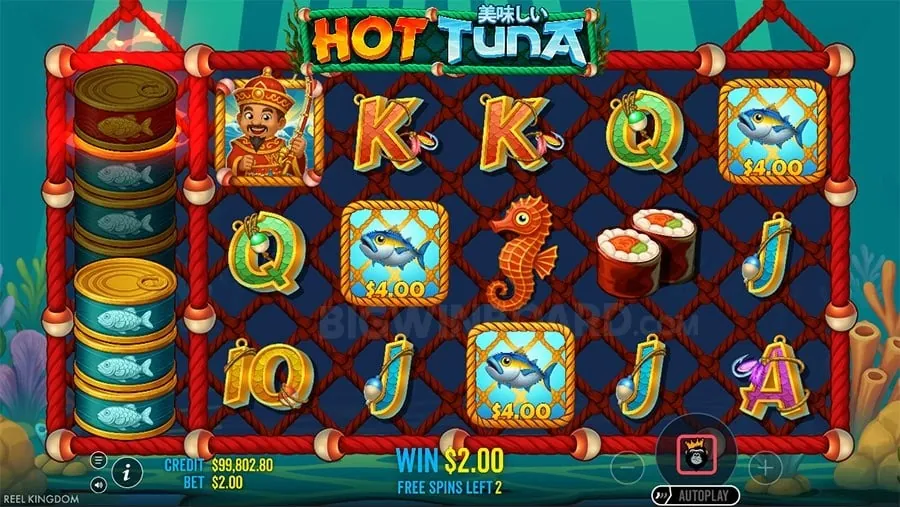 Variety of Casino Games on 8k8 APK